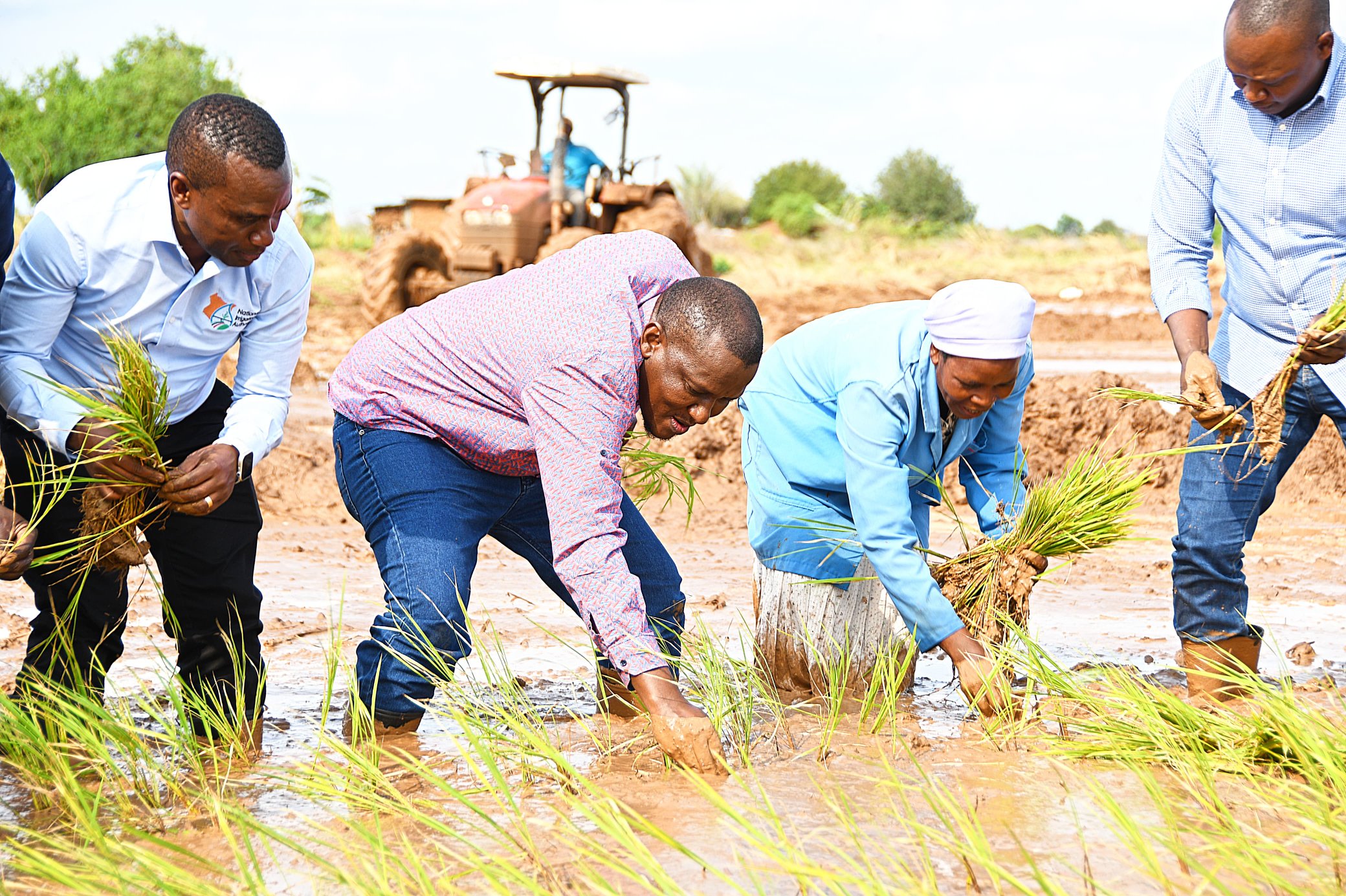 Hola Irrigation Scheme: Government Moves to Expand and Rehabilitate Thousands of Acres
